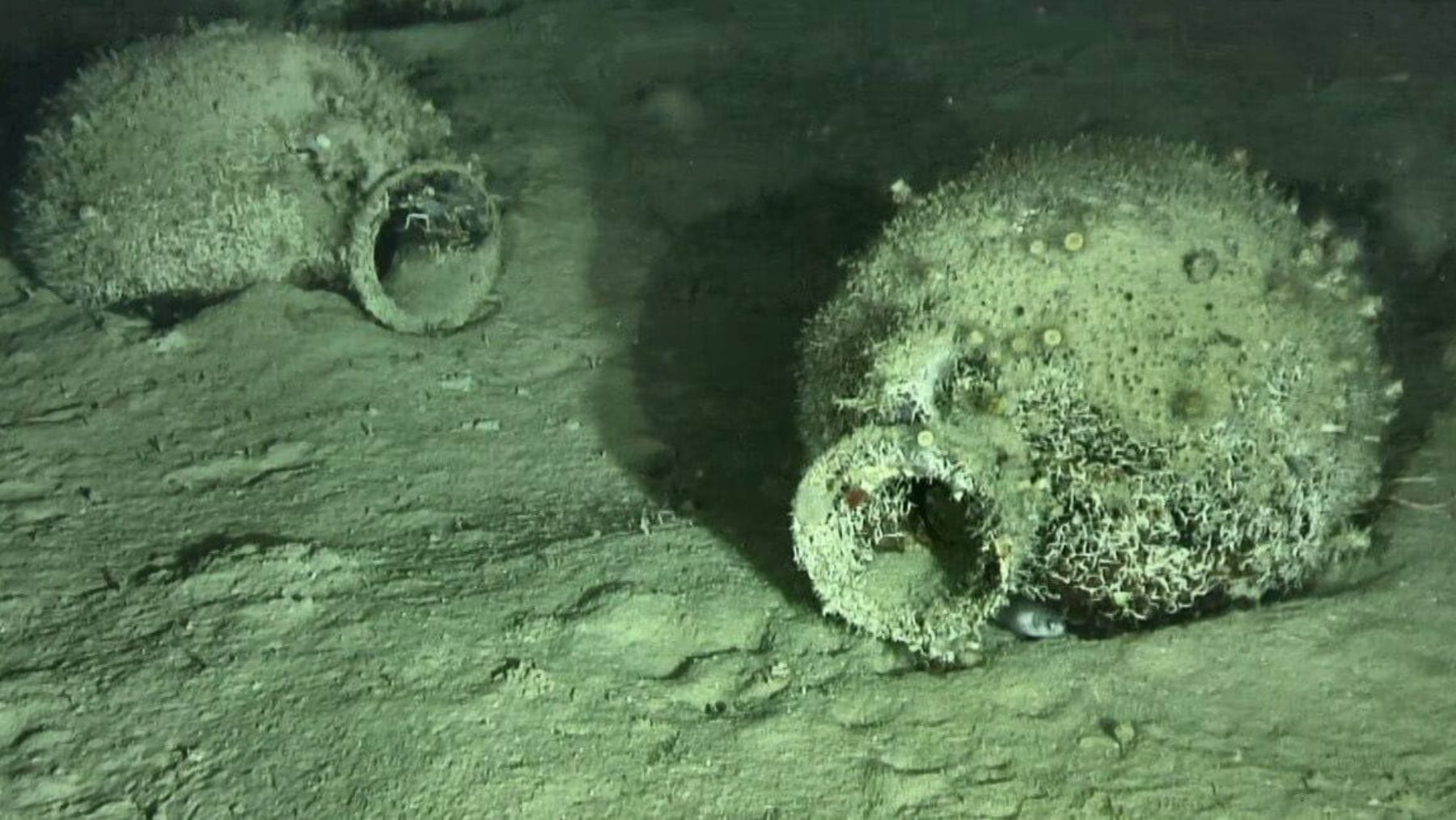 Colosal hallazgo en la costa italiana: descubren un barco hu