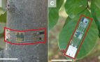 Fotografías de los PD DUV nanocompuestos ZTO integrados en circuitos propuestos adheridos a varias superficies. // Fotos extraídas del estudio publicado en Science Advances.