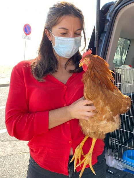 Primera condena firme en Espa&ntilde;a por el sacrificio de animales en rituales de santer&iacute;a