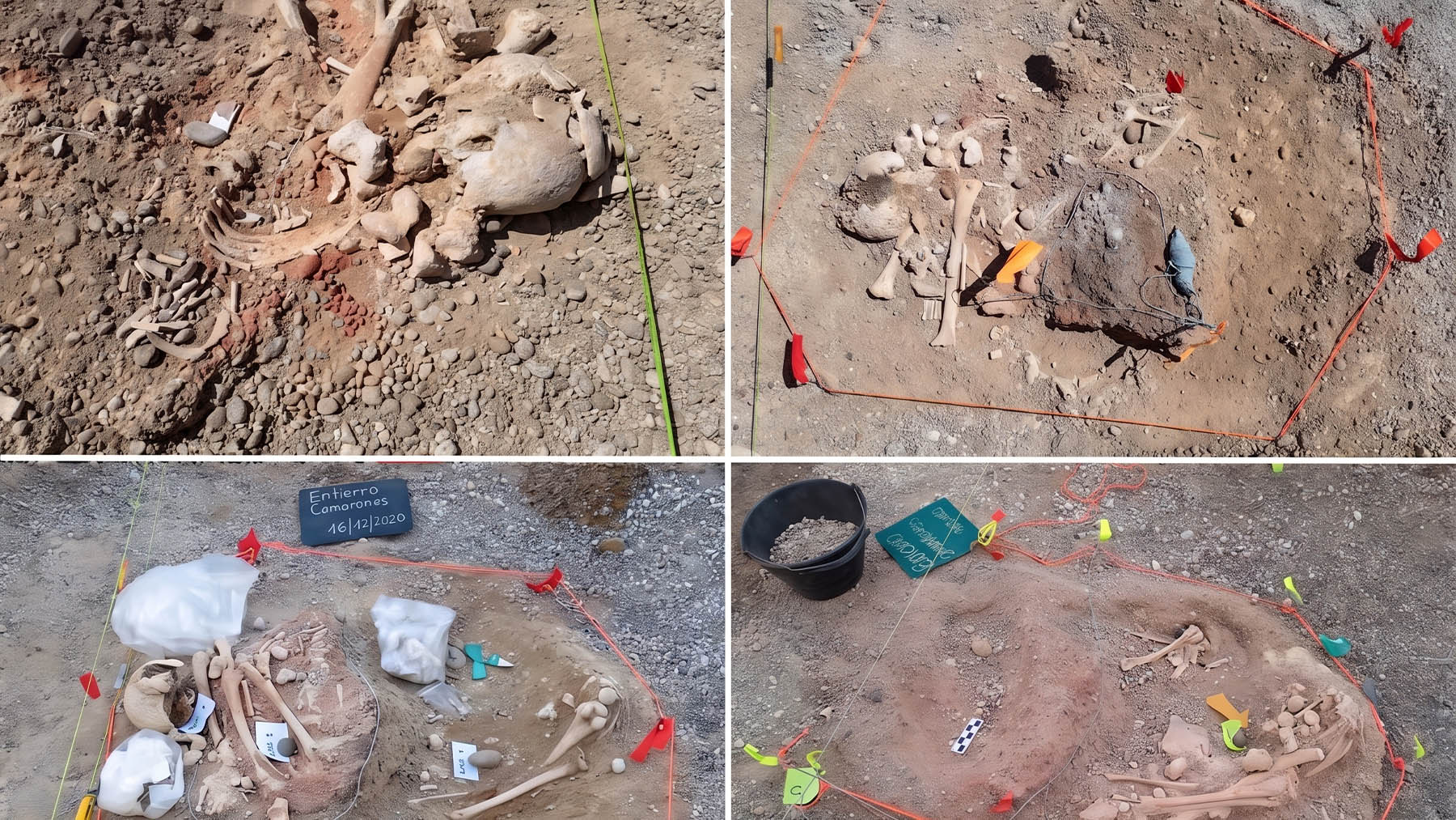 Las obras de un jardín argentino pueden reescribir la historia de América: aparecen huesos humanos de más de 10.000 años