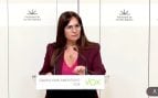 Cañadas (Vox) denuncia «la poca lealtad del PP con sus socios» por buscar nuevos acuerdos con la izquierda