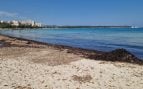 Mallorca playas