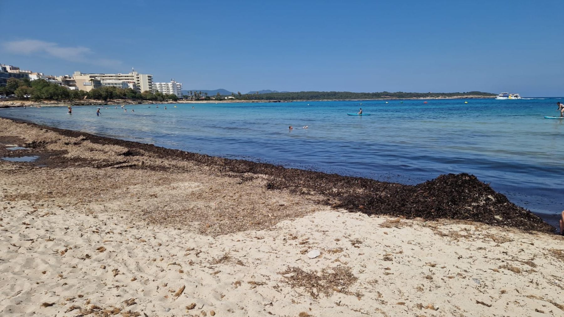 Estado que presenta la playa de s’Illot en Manacor.