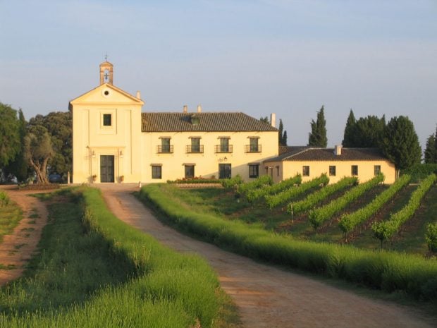 falco finca toledo