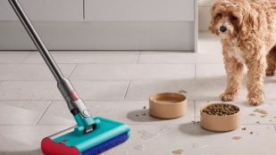 Dyson V15s Detect Submarine