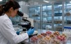 Experimento español virus en animales, españoles identifican transmisión de virus en animales, cómo se transmiten virus en los animales.