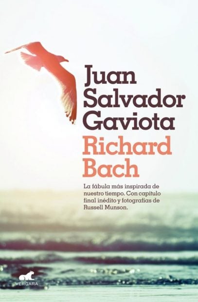 novelas cortas