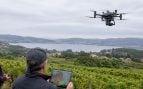 Drones, IA, naturaleza, viñedos, plagas, agricultores