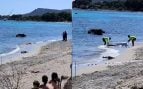 aparición cadáver flotando