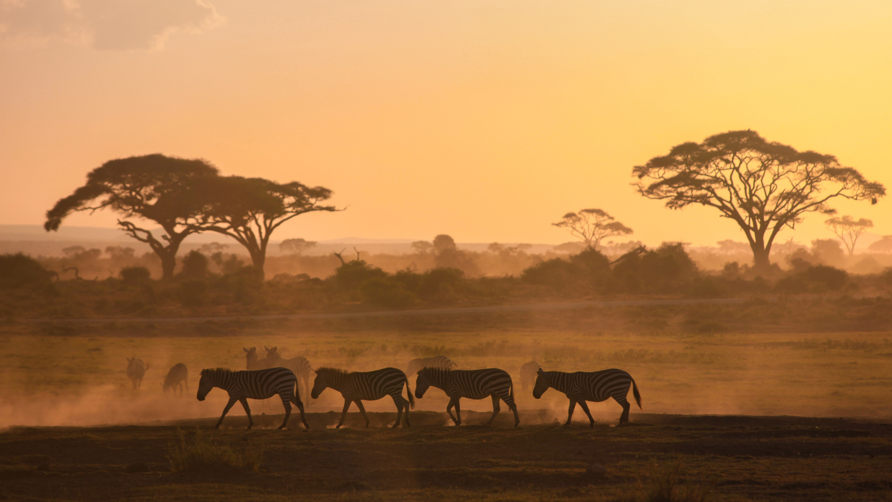 El significado del proverbio africano: «El hombre puede ser 