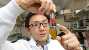 Investigadores de Estados Unidos han desarrollado una forma más rápida, económica y respetuosa con el medio ambiente de extraer litio. // Foto: Escuela de Ingeniería y Ciencias Aplicadas de la Fundación Fu de la Universidad de Columbia