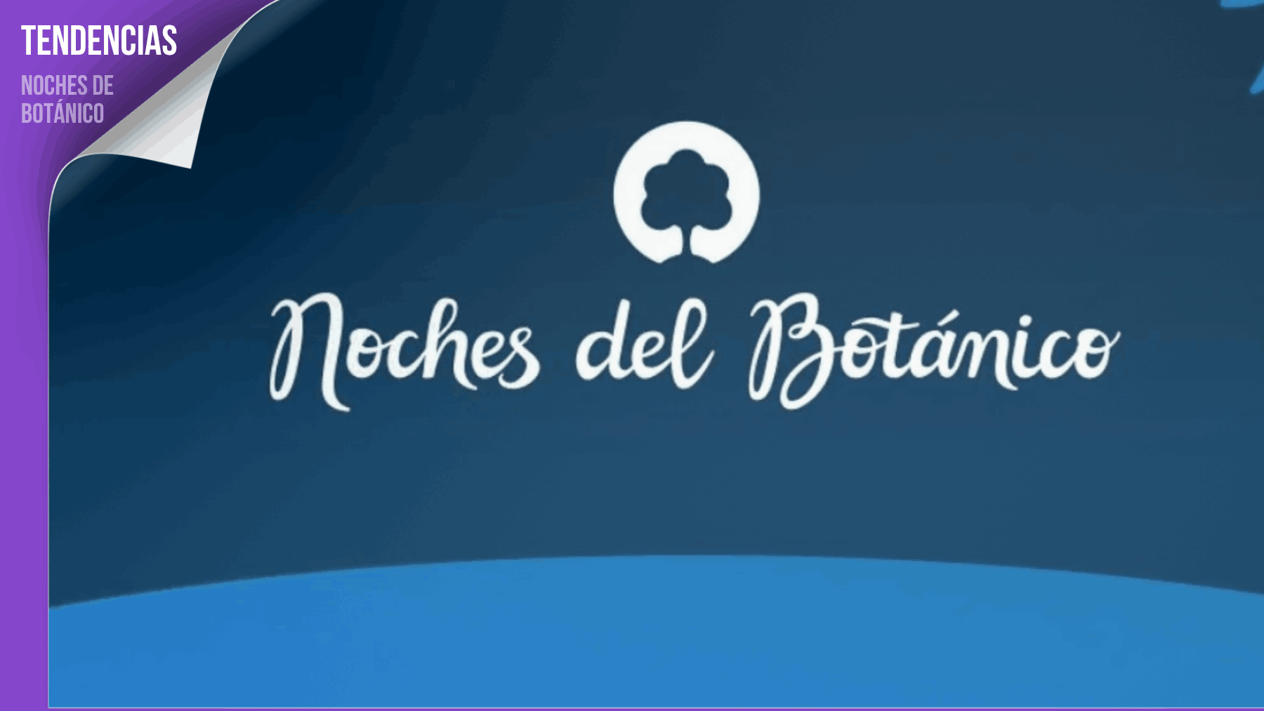 Noches del botánico