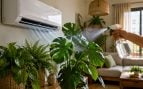 Truco del botijo moderno, truco ola de calor, evitar sequedad aire acondicionado, truco con plantas y aire acondicionado para el calor, truco de la NASA contra el calor.
