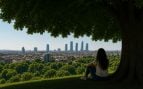Un árbol puede ser un gran refugio frente al calor. Generado por IA.