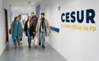 cesur FP