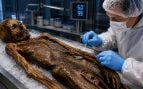 momia de Ötzi, momia Ötzi, momias con microorganismos vivos, momias.