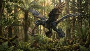 Dinosaurio
