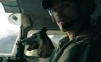 Jacob Elordi, un perro y una aventura postapocalíptica: la película que ningún cinéfilo se puede perder este verano