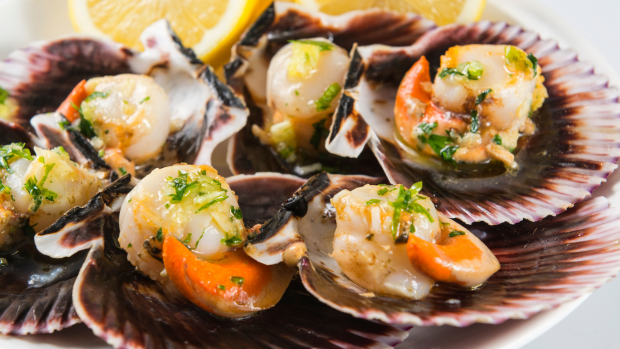 Plato de vieiras
