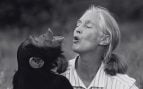 Jane Goodall con un mono. Imagen de EuropaPress.