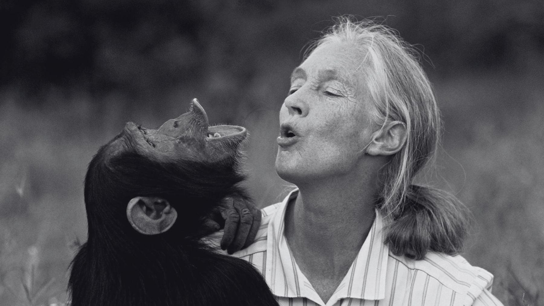 Jane Goodall con un mono. Imagen de EuropaPress.