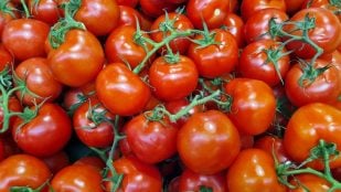 Los tomates