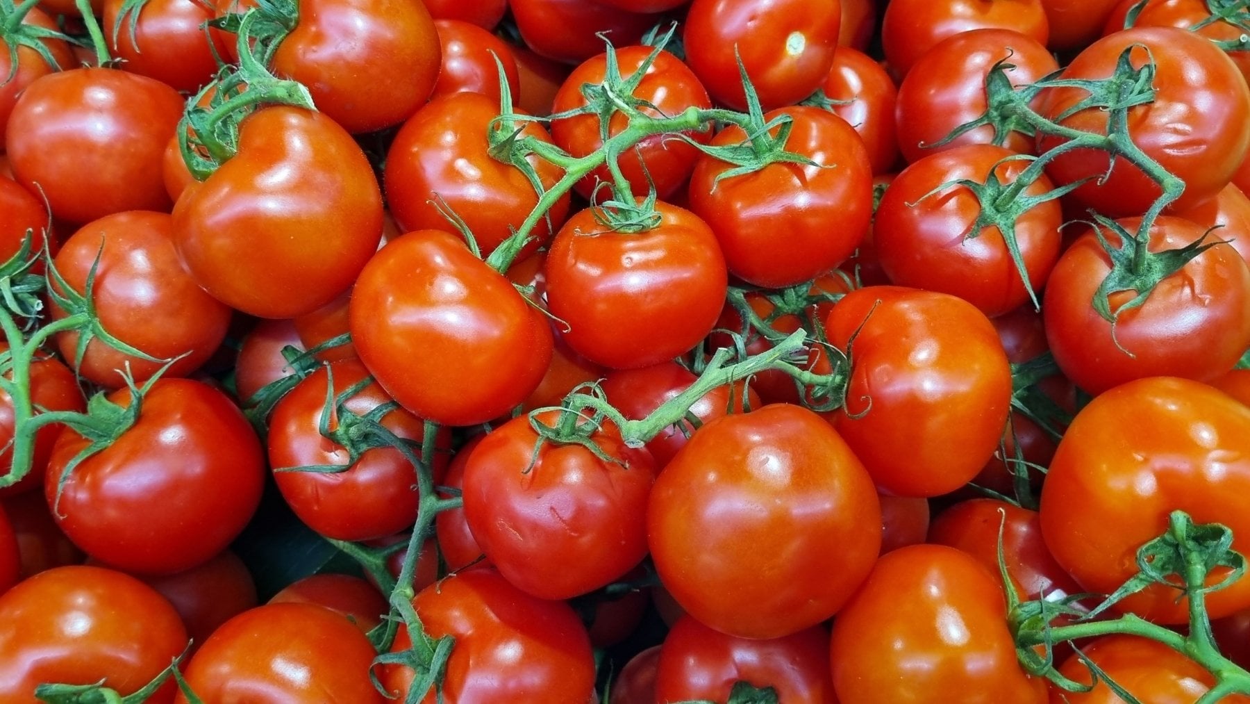 El chef David Guibert sobre los tomates aliñados: «Deja repo
