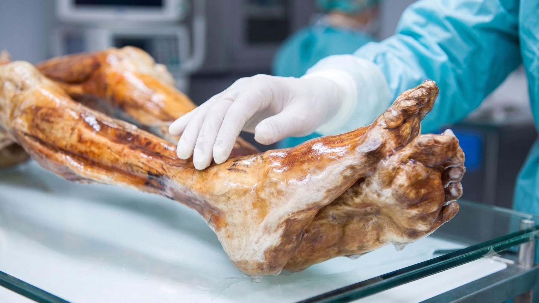 Científicos recuperan levadura de una momia milena