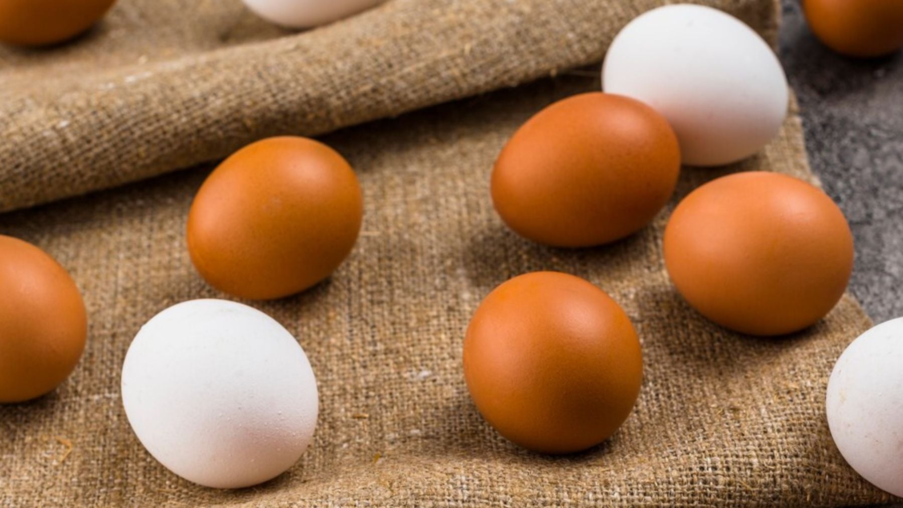 Un granjero aragonés acaba con el mito para siempre: la diferencia real entre los huevos blancos y morenos