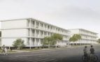 Palma vivienda