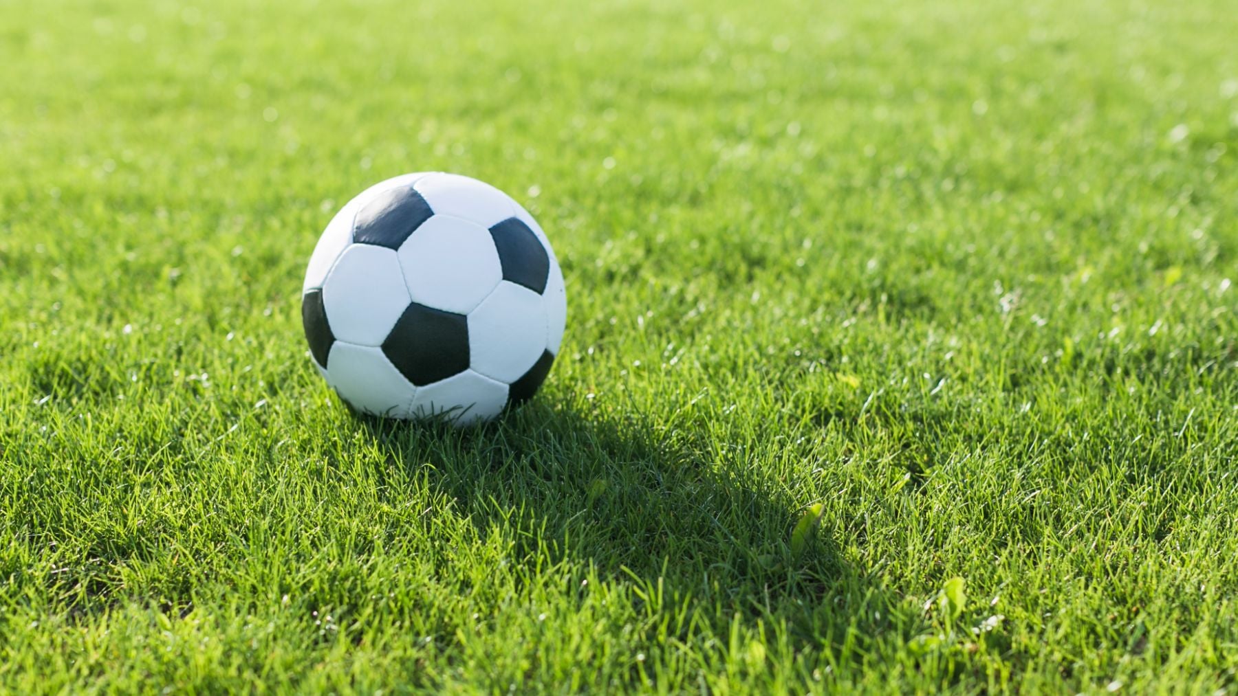 Torneo de fútbol femenino Orgullo 2026: horario, c