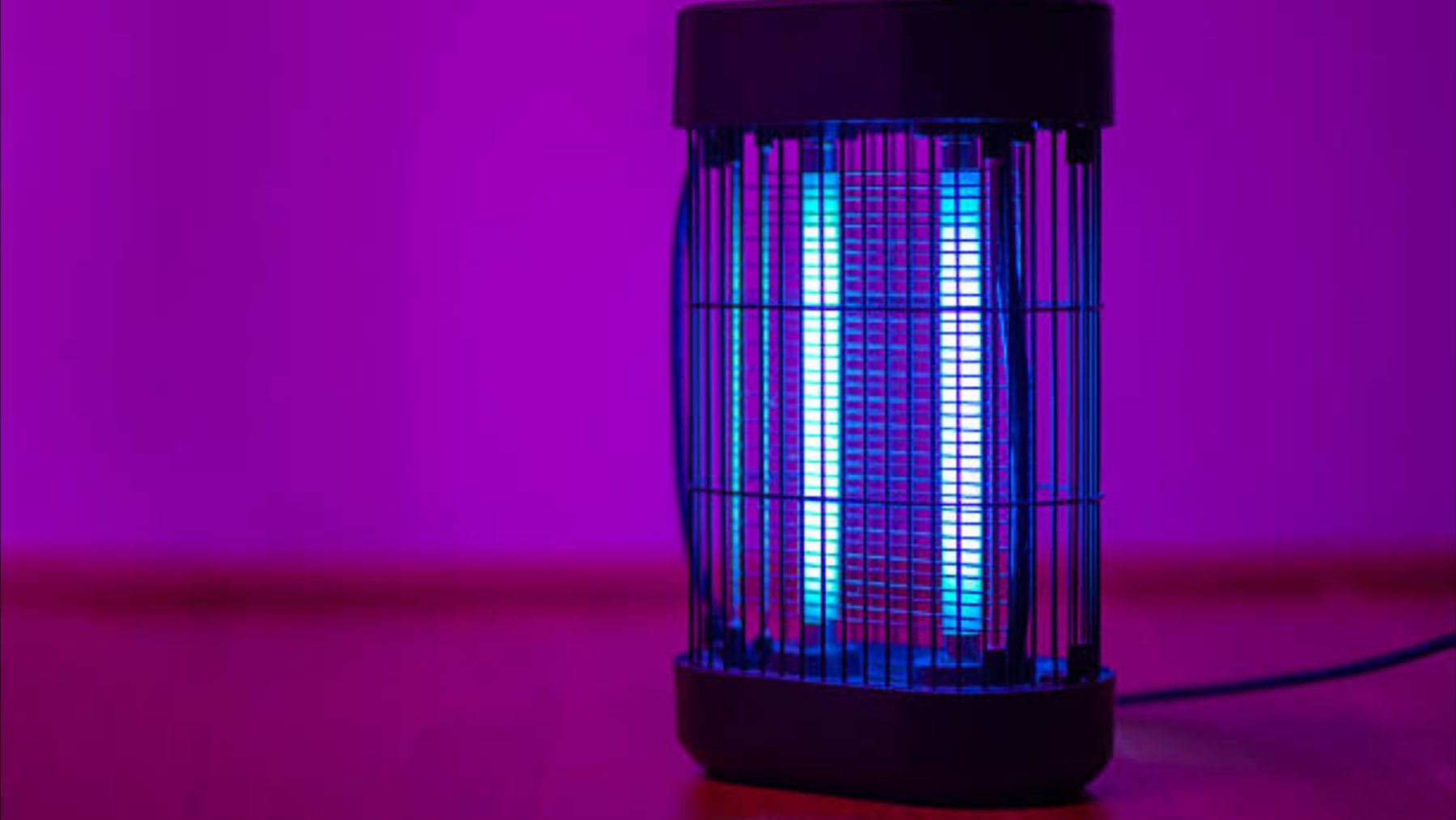 Mientras la gente sigue comprando mosquiteras, Decathlon acaba de sacar el invento definitivo que te va a salvar el verano: acaba con los insectos en interiores y exteriores