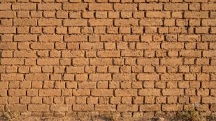 Pared de ladrillos