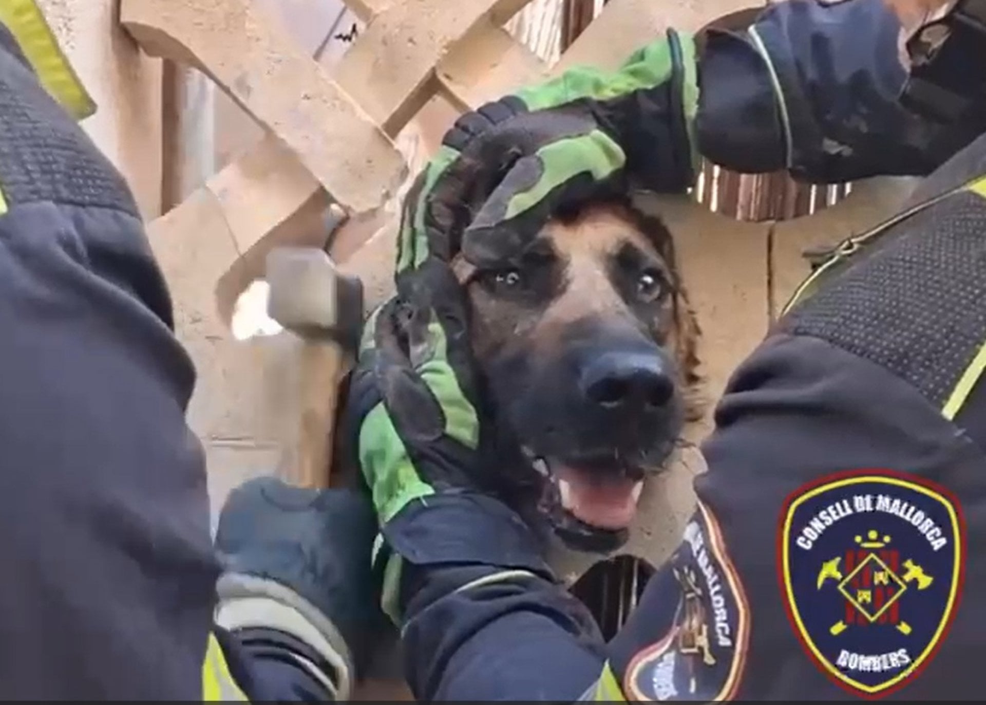 Los bomberos rescatan a un perro que se había qued