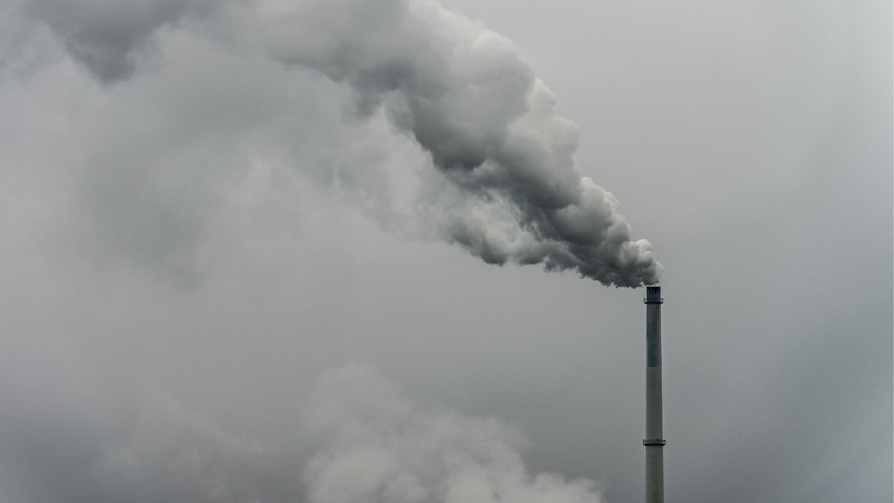 Los expertos alertan: absorber CO₂ de la atmósfera no evitar