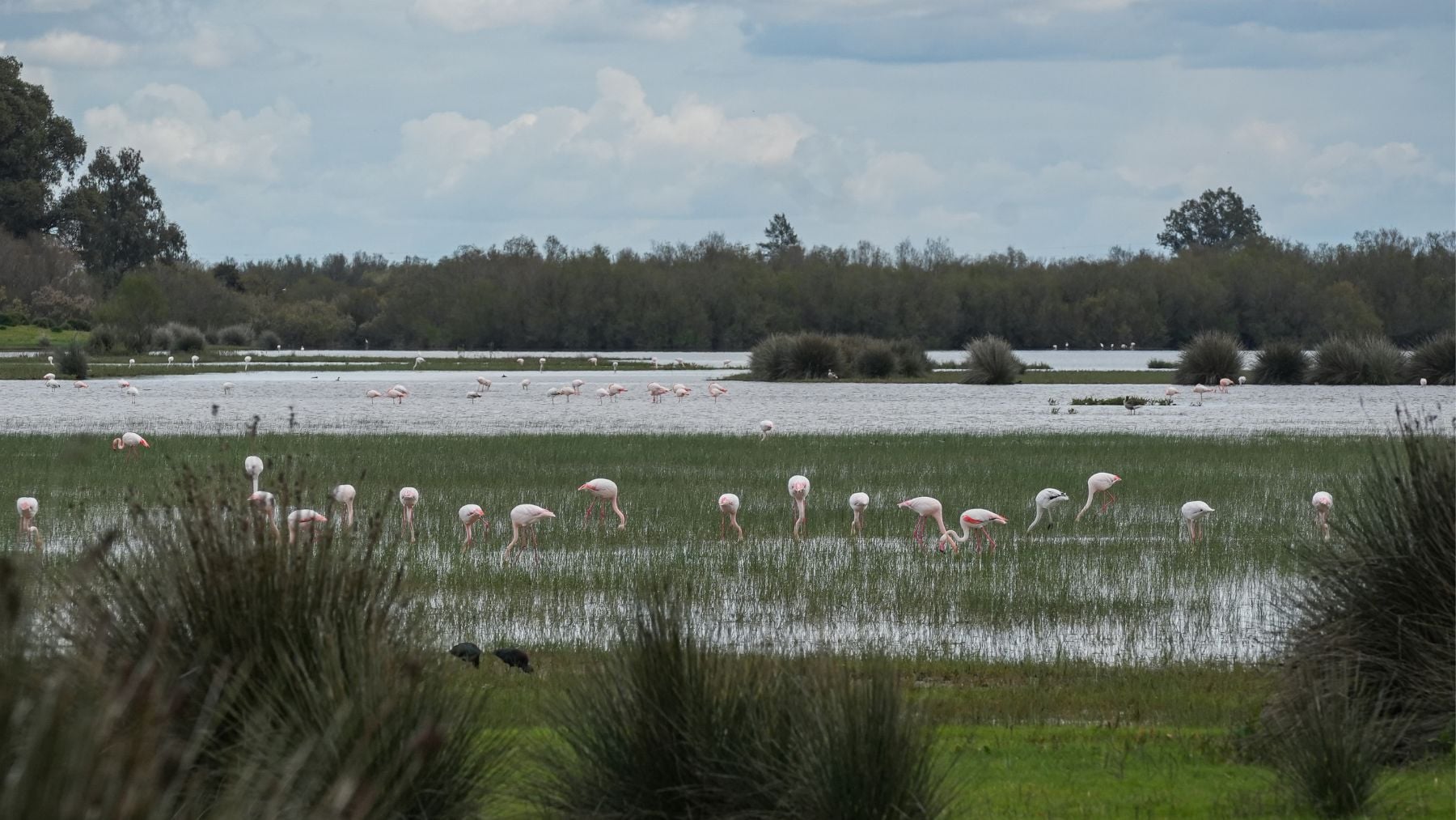 Pescadores y guardas forestales llevan décadas sin