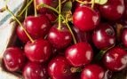 Conservar las cerezas