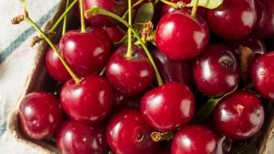 Conservar las cerezas