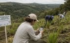 Ecuador, bosque, apps móviles, hierba