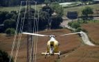 Endesa eleva a 105 millones de euros la inversión en control forestal, mantenimiento e inspección de la red de cara al verano