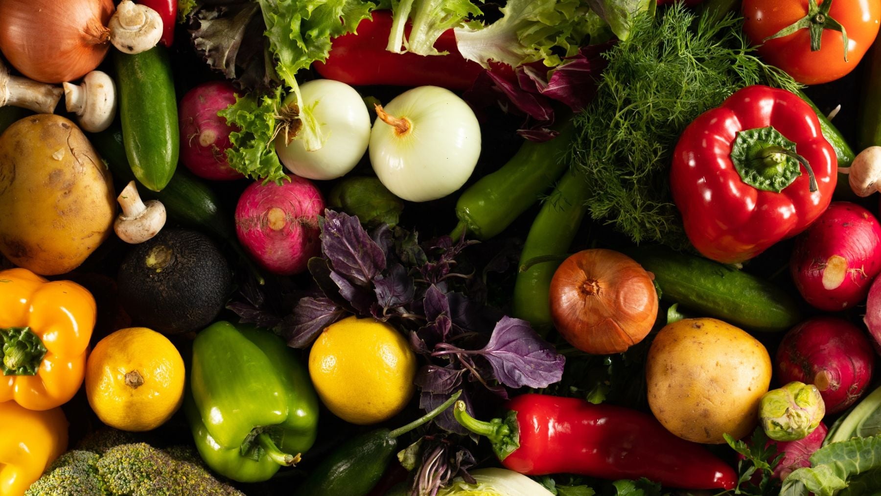 Ni brócolis ni coles: las hortalizas que debes plantar en tu huerto el mes de junio en España para tener cosecha en otoño