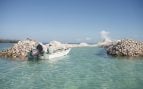 Isla, cangrejos, curiosidades