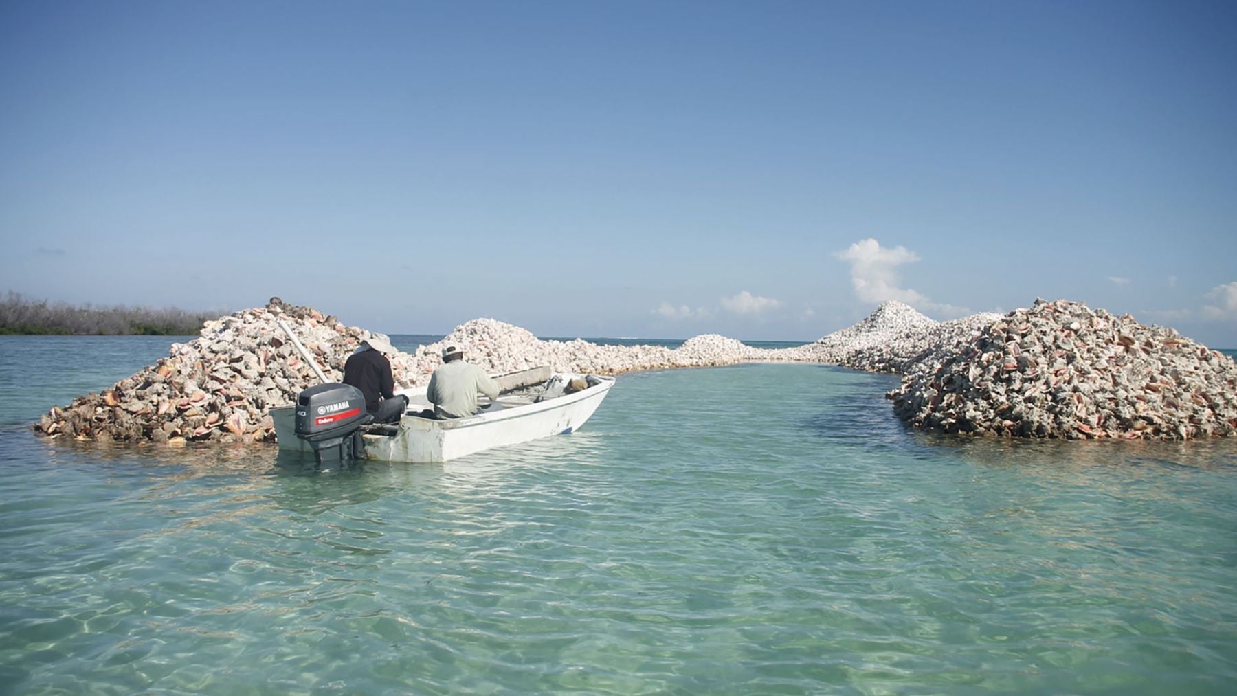 Montículos de Conchas frente a la costa de Anegada. Foto: Turismo de las Islas Vírgenes Británicas