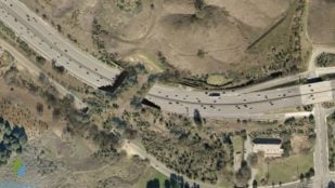 Wallis Annenberg Wildlife Crossing