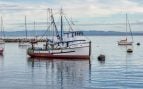 Combustible, barcos, curiosidades