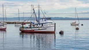 Combustible, barcos, curiosidades