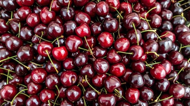 Cerezas