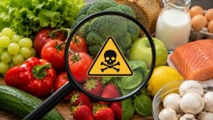 La presencia de tóxicos en los alimentos que ingerimos puede ocasionar graves problemas de salud. Generado por IA.