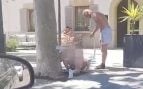 Therian Mallorca perro