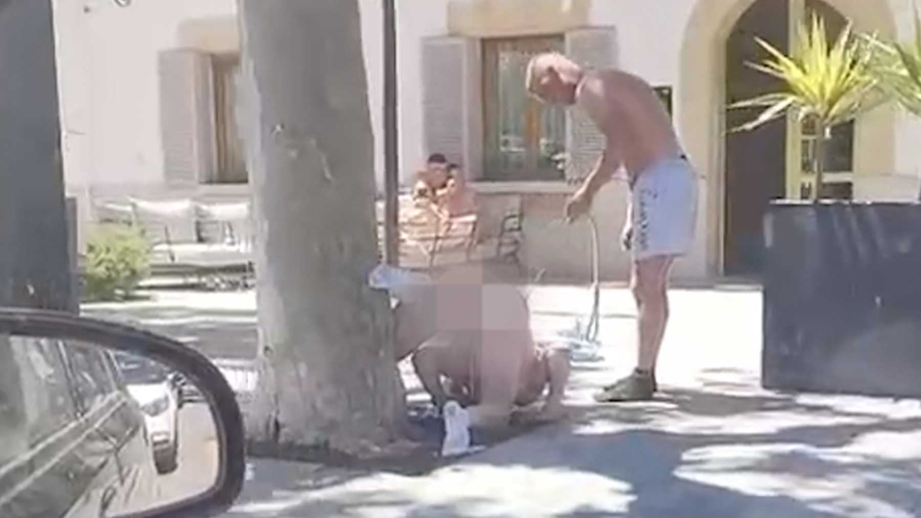 Asombro en Mallorca: un therian desnudo y con correa pasea a cuatro patas y orina en el tronco de un árbol